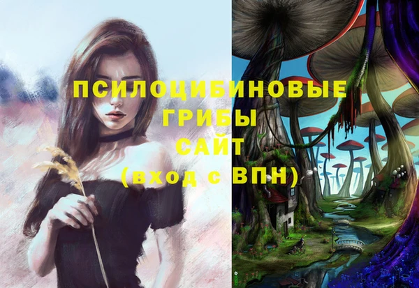 сатива Верхнеуральск
